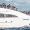 Long Beach Whale Watching & Dolphin