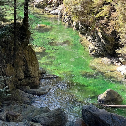 Lynn creek