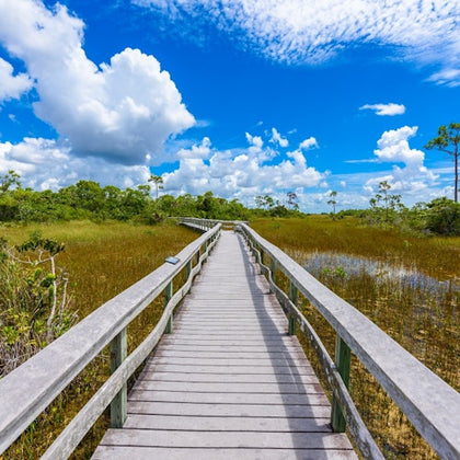 Everglades National Park