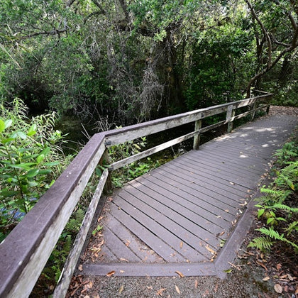 Everglades National Park