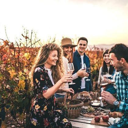 From San Francisco: Napa & Sonoma Valley Full Day Wine Tour