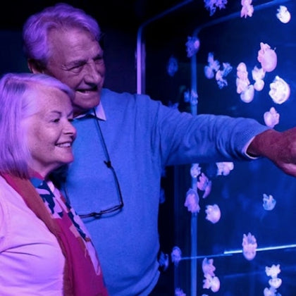 SEA LIFE Aquarium at American Dream: General Admission