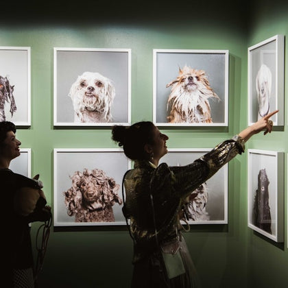 Best in Show: Pets in Contemporary Photography on view thru Jan 27, 2024. 