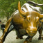 Charging Bull