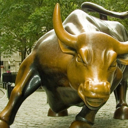 Charging Bull