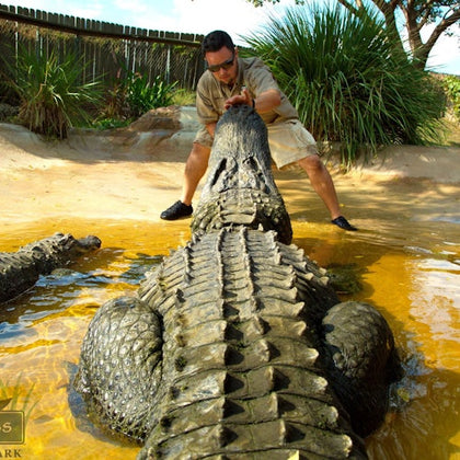Everglades: 40-Minute Airboat Ride & Animal Sanctuary Admission