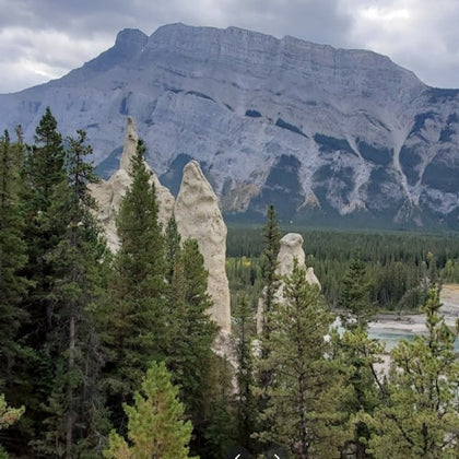 Tall, rocky formations surrounded by dense coniferous forest with a towering, rugged mountain in the background under a cloudy sky.