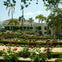 First Lady Rose Garden