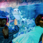SEA LIFE Aquarium at American Dream: General Admission