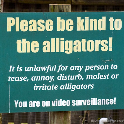 Sign reads: "Please be kind to the alligators! It is unlawful for any person to tease, annoy, disturb, molest or irritate alligators. You are on video surveillance!"