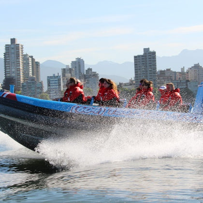 Vancouver: City and Seal Cruise