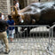 The Bull