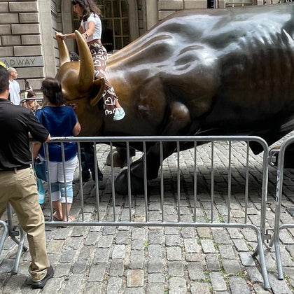 The Bull