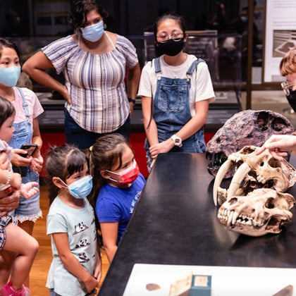 Field Museum 