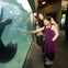 Vancouver Aquarium