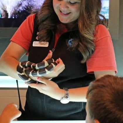 Aquarium Of the Bay 