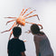 Royal Ontario Museum: General Admission Ticket