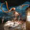 A person observing a mammoth skeleton exhibit with another animal skeleton displayed above, in a museum setting.