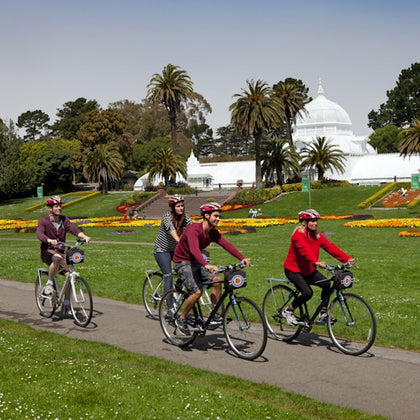 Four people biking on a path in a park with palm trees and a white conservatory in the background.