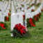 Arlington National Cemetery: Hop-on Hop-off Trolley Tour