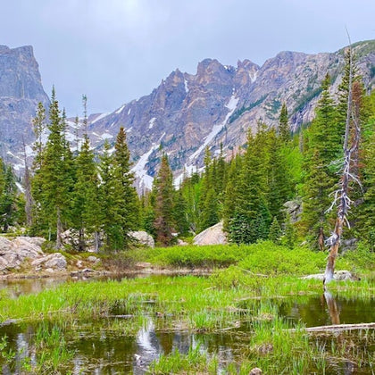 A tranquil alpine scene with a pond, green vegetation, evergreen trees, and tall rocky mountains in the background.
