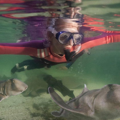 Irukandji Shark & Ray Encounters