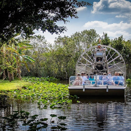 Airboat Tour 