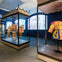 Exhibit with ornate, historical garments in glass cases; screen displaying a parade in the background.
