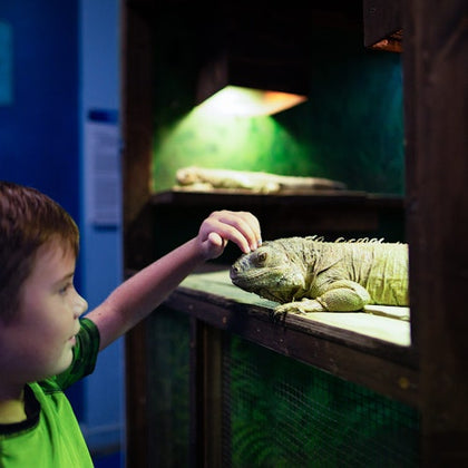 SeaQuest Fort Worth: Entry Ticket