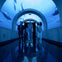 Three people walking through a tunnel with aquarium walls, displaying large aquatic animals swimming around.