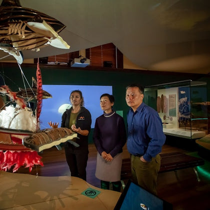Australian Museum: Entry + Waranara First Nations Guided Tour