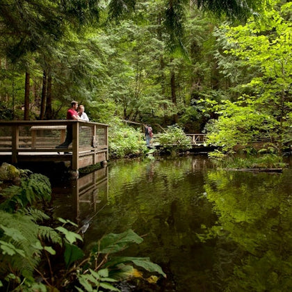 Vancouver: Capilano Suspension Bridge Park & City Tour