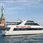 A white tour boat labeled 'NY SKYLINE' on water near the Statue of Liberty under a blue sky.