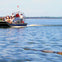 Airboat Tour Everglades
