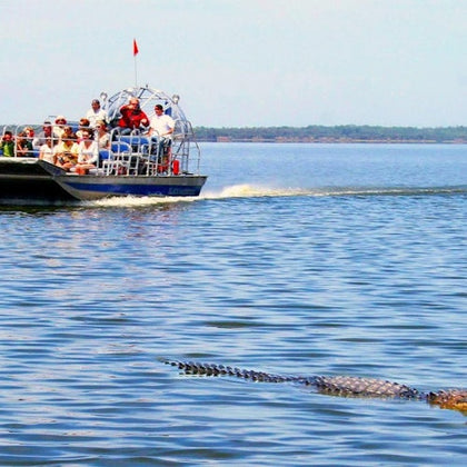 Airboat Tour Everglades