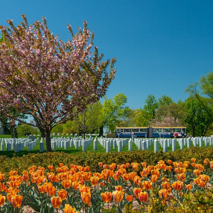 Washington DC and Arlington Cemetery Hop on Hop off Tour