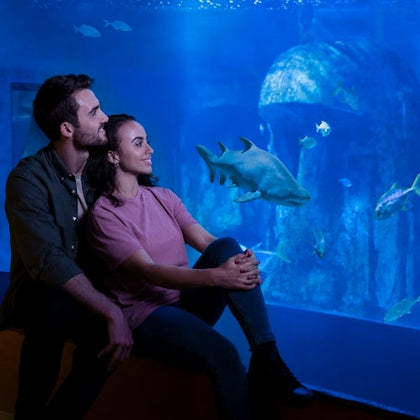 A couple sits close together, smiling and looking at fish swimming inside a large aquarium tank illuminated by blue light.