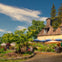 Full Day Wine & Woods Tour