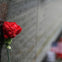 A red carnation rests against a wall engraved with names, with an American flag visible in the blurred background.