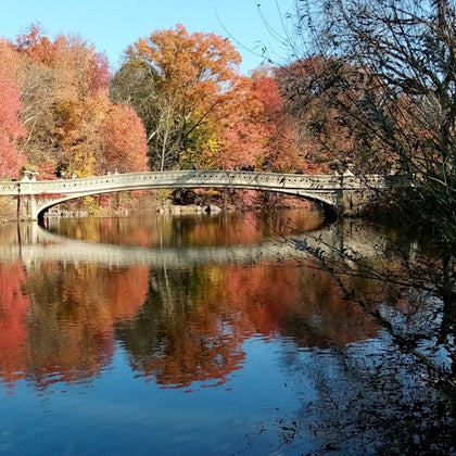 The Bow Bridge in November