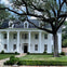 Enjoy views of some of the most luxurious properties in Houston during the Astroville Best of Houston City Tour.