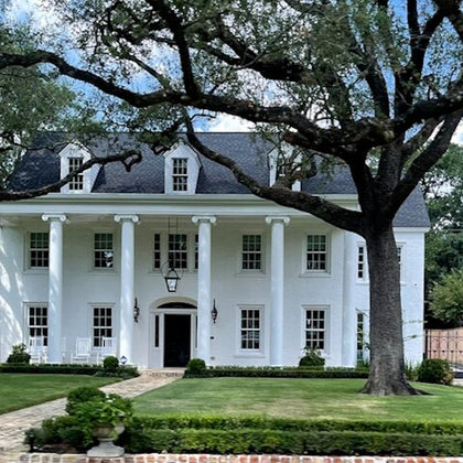 Enjoy views of some of the most luxurious properties in Houston during the Astroville Best of Houston City Tour.