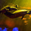 SEA LIFE Sydney Aquarium: Entry Ticket