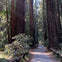 Full Day Wine & Woods Tour