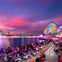 Premium Vivid Cruise