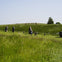 Avebury Stone Circle