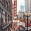 Chicago Favorites Walking & Food Tour
