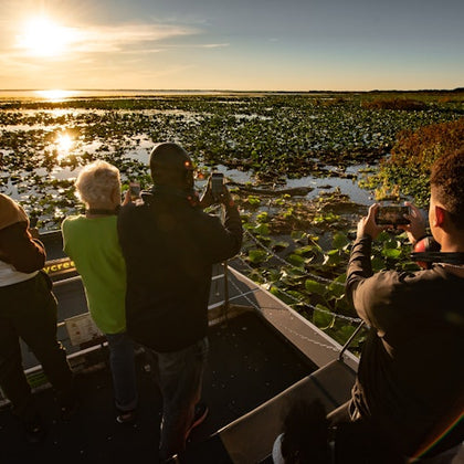 Gator sighting at Sunset