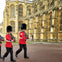 Windsor Castle guards 
