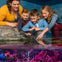 SEA LIFE Aquarium at American Dream: General Admission